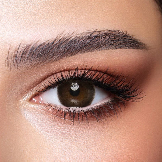 Bella Cedar – Oneday Collection